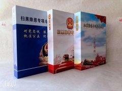 扫黑除恶档案盒